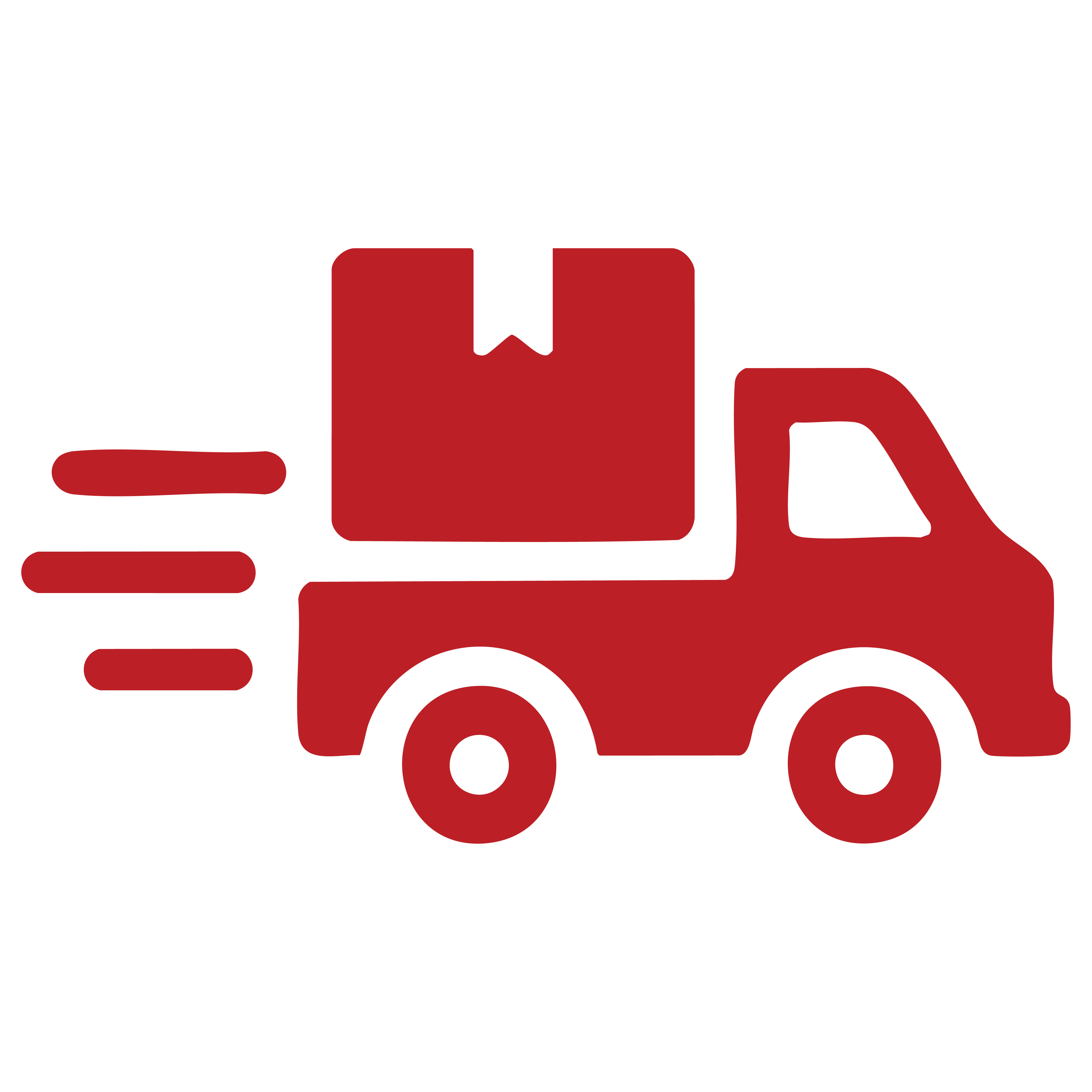 Fast & Reliable Shipping